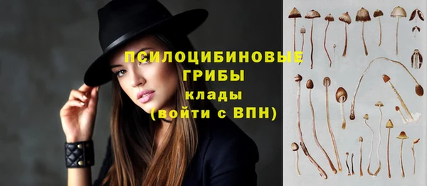 хмурый Абинск