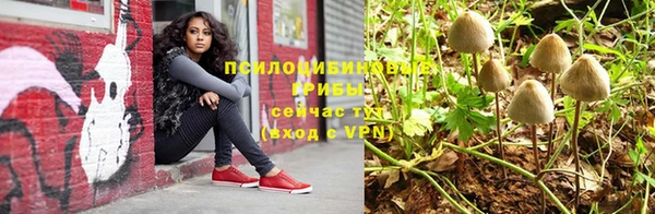 дживик Россошь