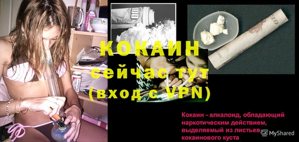 дживик Россошь